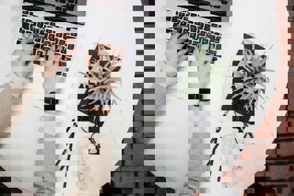 Person tying on a laptop on a desk with a plant and their phone to the right of them