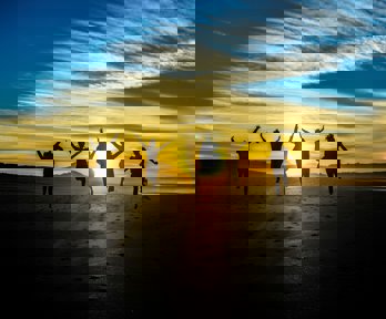 Group of five people jumping on a beach at sunset. The sun is in the front, making the people look like black silhouettes. 