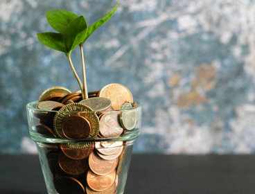 Plant growing from a glass filled with coins. 